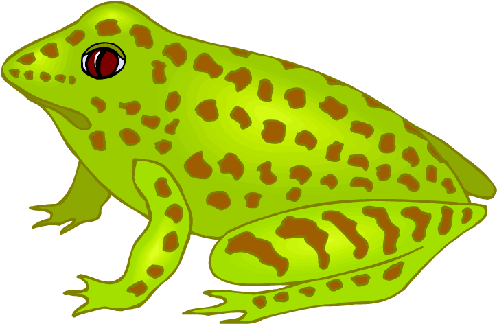Winsome Inspiration Frog Clipart Green And Brown Spotted - Spotted Frog Clipart (750x486)