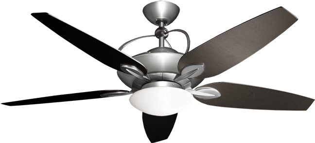 Cool - Ceiling - Fans - Ceiling Fan (800x392)