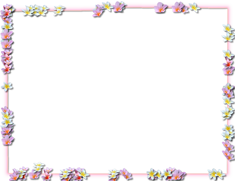 Frame Flower Border Png (850x654)
