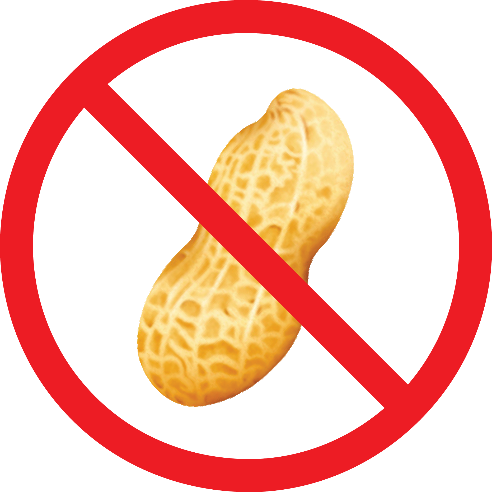 I'm Allergic To Peanuts - Bonjour Hi (1863x1863)