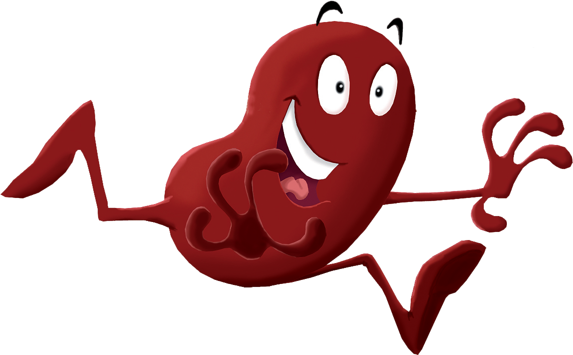 Kidney Happy - Kidney (1291x942)