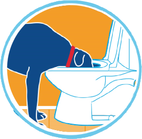 No More Toilet Breath - No More Toilet Breath (587x513)