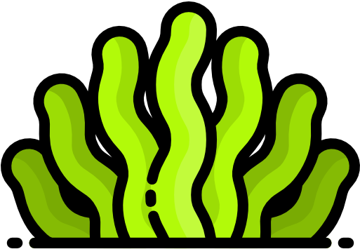 Seaweed Free Icon - Seaweed Free Icon (512x512)