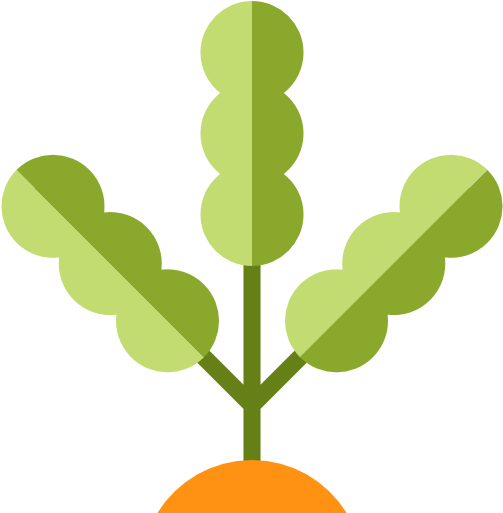 Seaweed Free Icon - Seaweed Transparent Background (512x512)