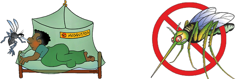 Malaria Is A Febrile, Mosquito-borne Disease Caused - Female Anopheles Mosquito Clipart (848x296)