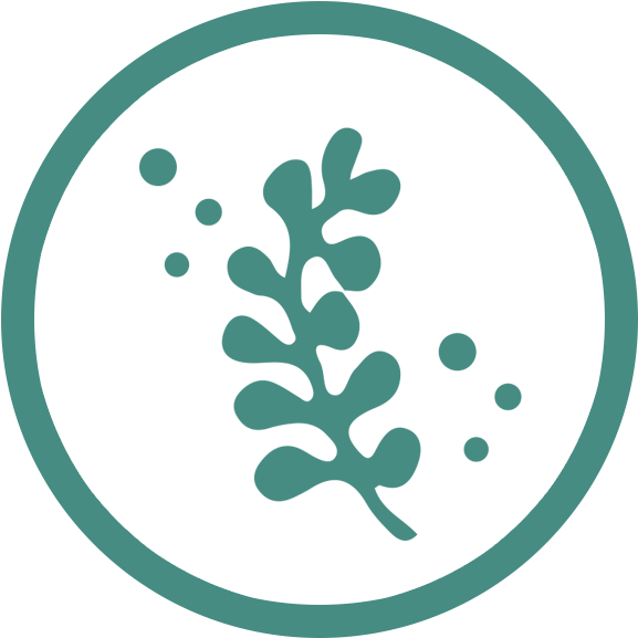 A Natural Solution - Seaweed Icon Png (700x700)