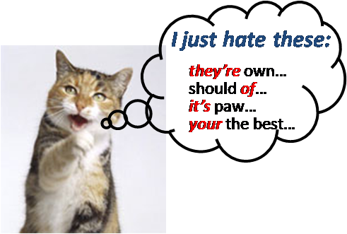 Pet Hates - Talk To The Paw.png Pillow Case (491x331)