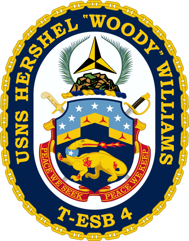 Usns Hershel "woody" Williams - Commander, Navy Installations Command (640x817)