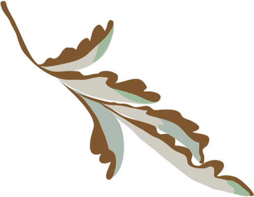 Illustration (500x388)