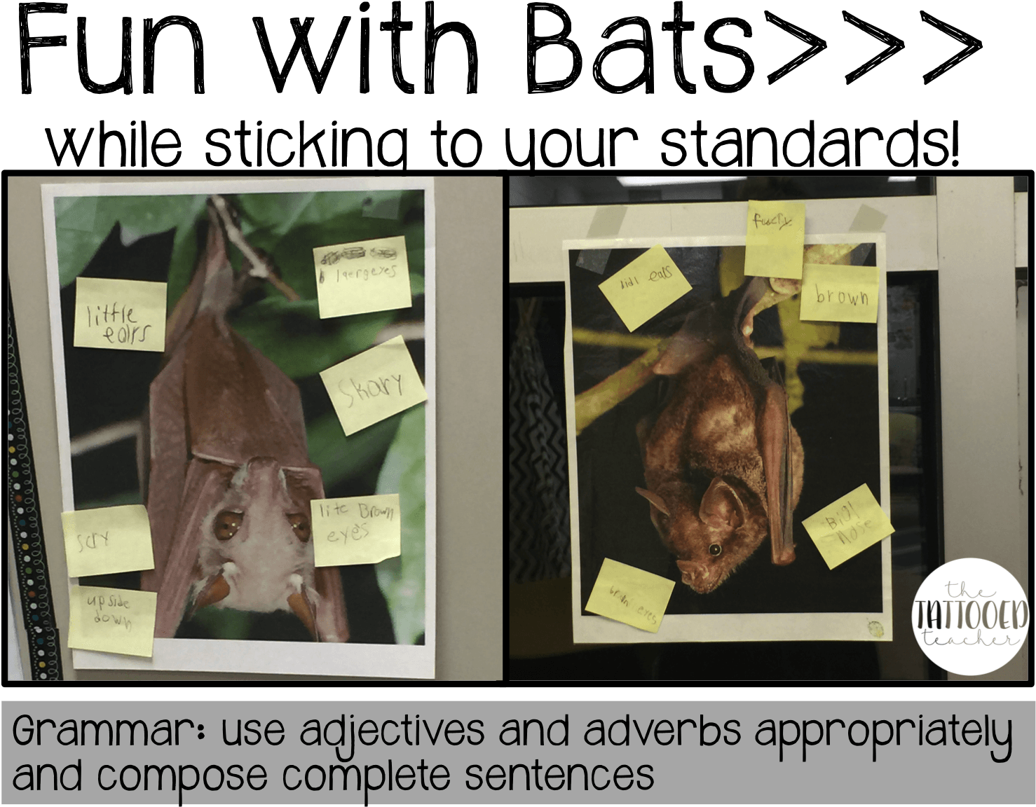 Bat Fun While Sticking To Your Standards Freebies - Carollia Perspicillata (1477x1197)