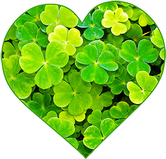 Picturesque Design Ideas St Patricks Day Clipart Patrick - Greenwood Village (354x345)