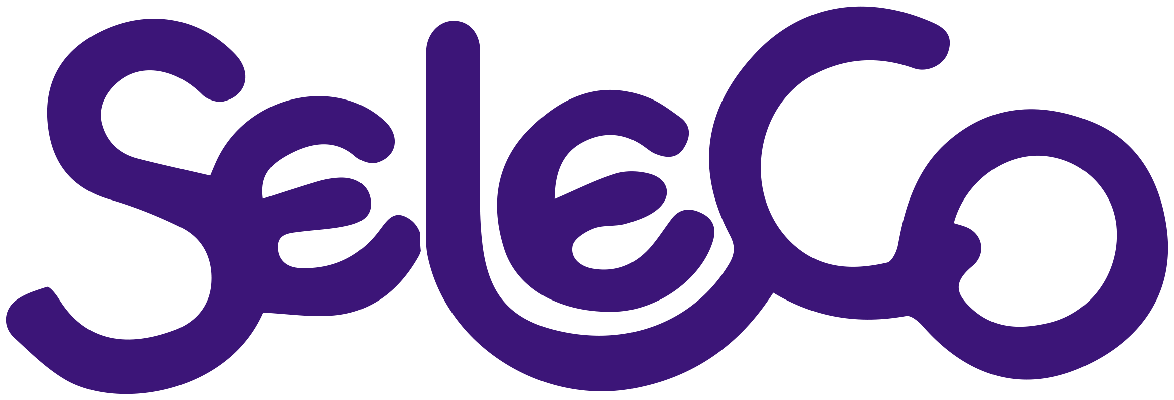Seleco Is One Of Famous Seaweed Brands In Thailand - Seleco (2335x796)