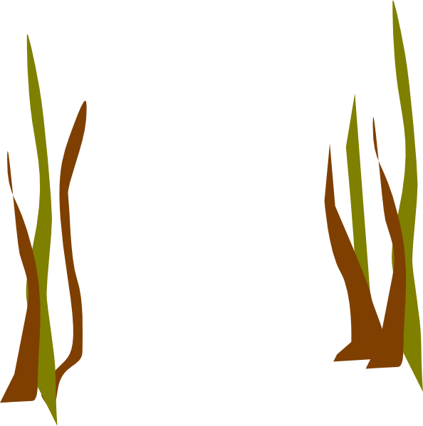 Dead Grass Clip Art (594x599)