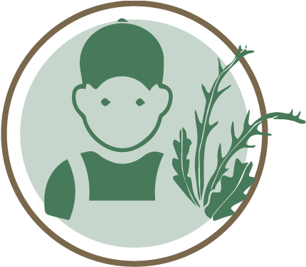 Increasing Farmer's Income - Illustration (575x375)