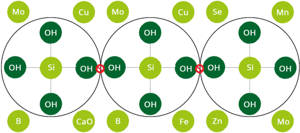 Siliforce Is A Range Of Different Formulations That - Circle (600x262)