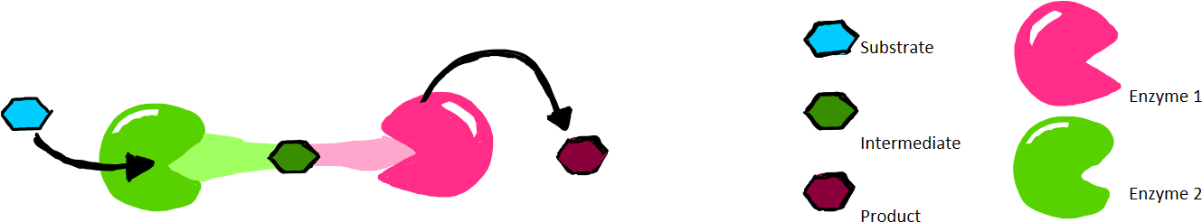 Direct Channeling Relies On The Formation Of Protein - Direct Channeling Relies On The Formation Of Protein (1356x326)