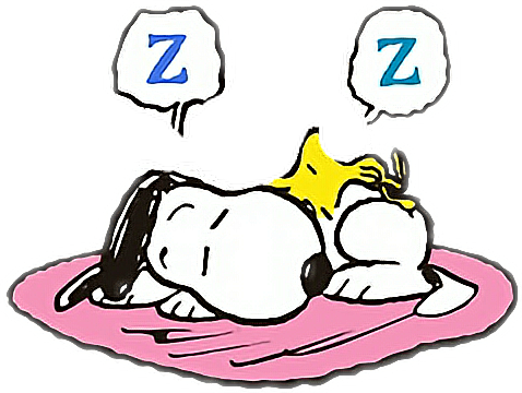 Snoopy Peanut Woodstock Goodnight Night Sleepy Smile - Spring Snoopy And Woodstock (478x360)