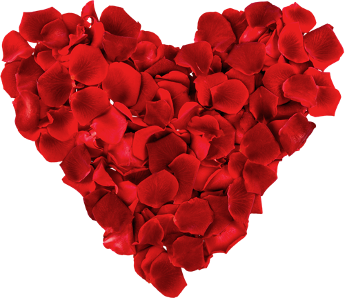 Nothing Says I Love You Like Herbs Cloverleaf Farm - Red Rose (500x432)