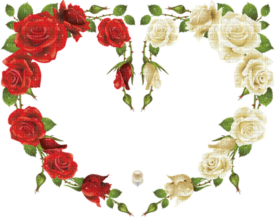 Coe Rouge Red Rose - Rose Frame (400x316)