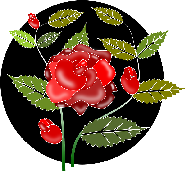 Rose Flower Borders 17, Buy Clip Art - Rose Flowers (789x720)