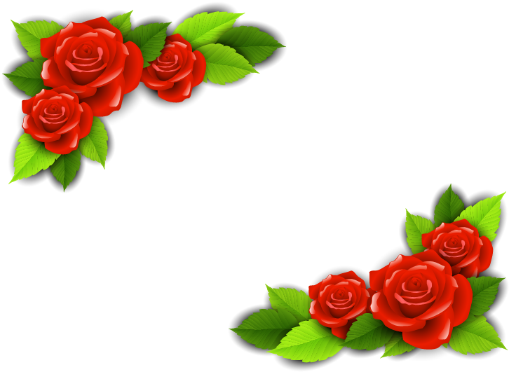 Beach Rose Flower Adobe Illustrator - 10kt Gold Necklace & Earrings With Blue Topaz (834x665)