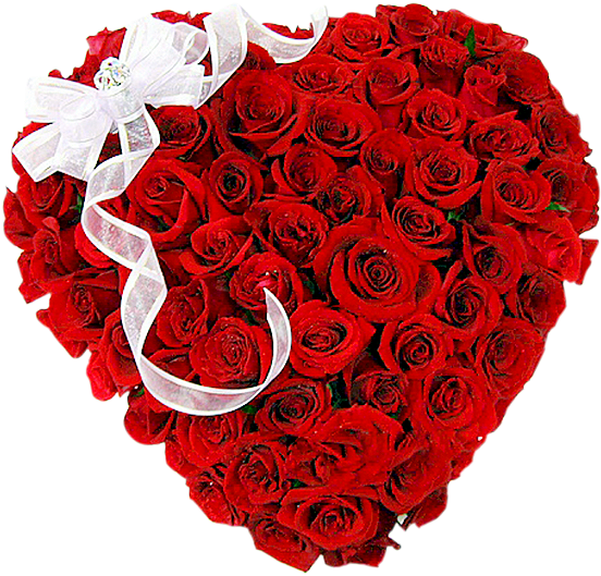 100 Roses Heart - Red Roses Heart Shape (600x756)