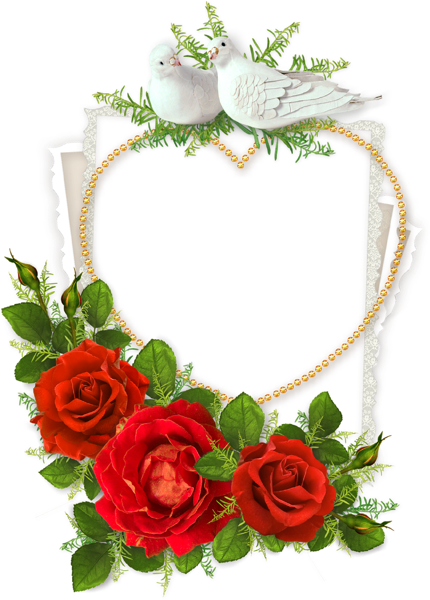 Heart Shaped Photo Frame With Doves And Red - Good Morning Happy New Week (960x1280)