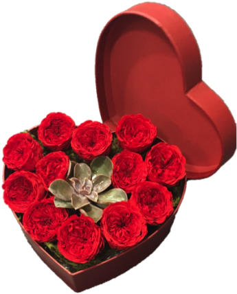 12 Preserved Red Rose Heart Box With Succulent - Rose (400x449)