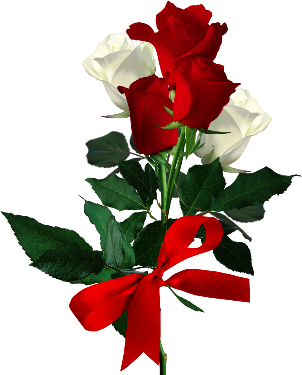 Tubefloweralbumbeautiful Red Rosesbouquetsgood Morningrosessweetie - Red Rose (1022x1280)