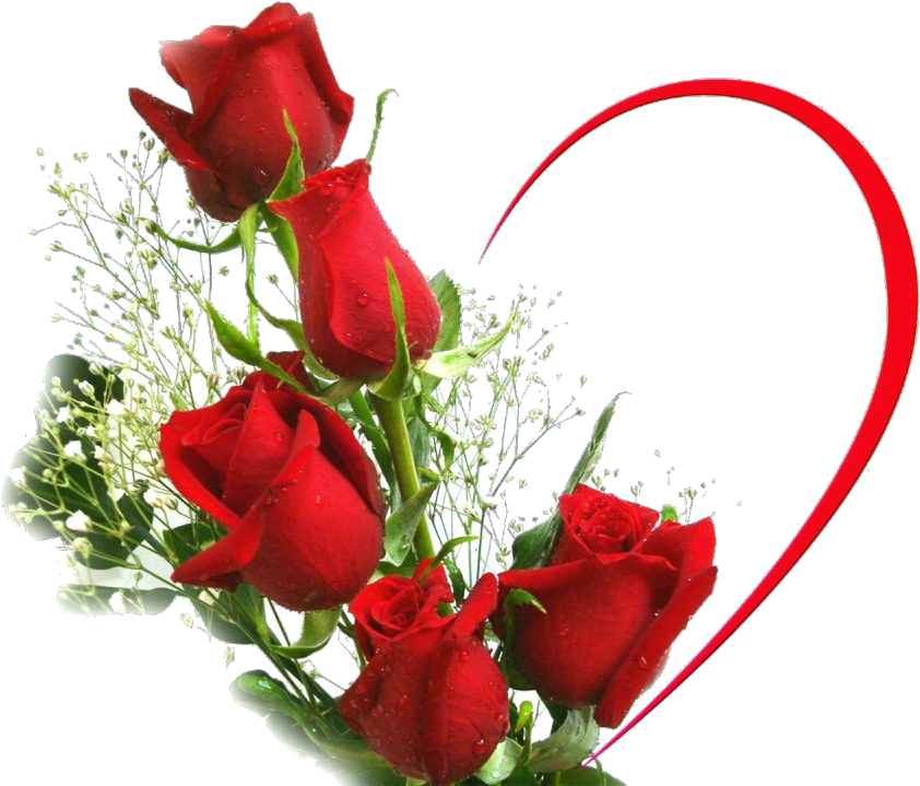 Desktop Wallpaper Rose Love Flower Stock Photography - Beautiful Love Rose Flowers (1280x720)
