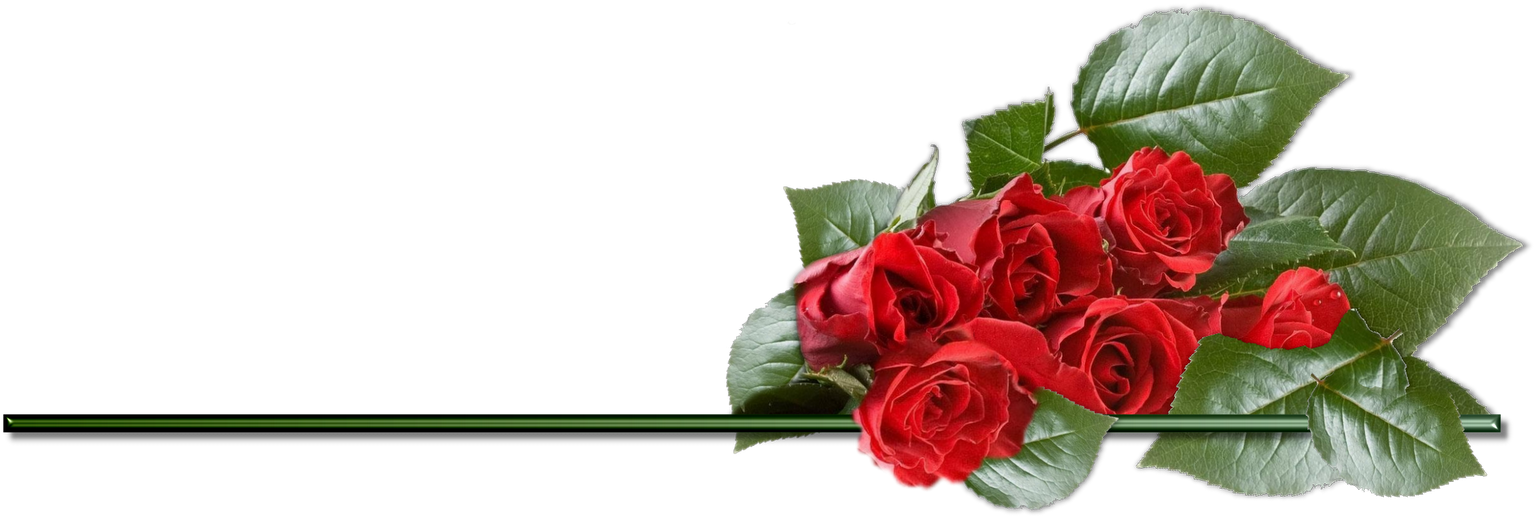 Clipart Rose Png Best Image - Valentines Day Beautiful Roses (1600x600)
