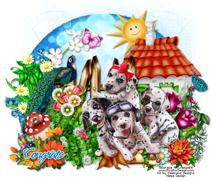 I Have Few Snags For You - Dalmatian (700x600)