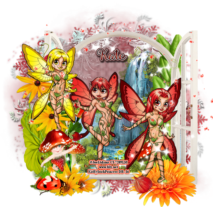 The 3rd Set Is Mushroom Magic - Joel Adams (725x725)