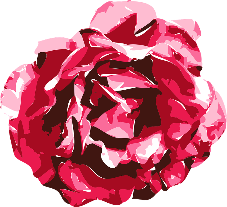 Roses Drawings With Hearts 11, - Red Flower Drawing Transparent (790x720)