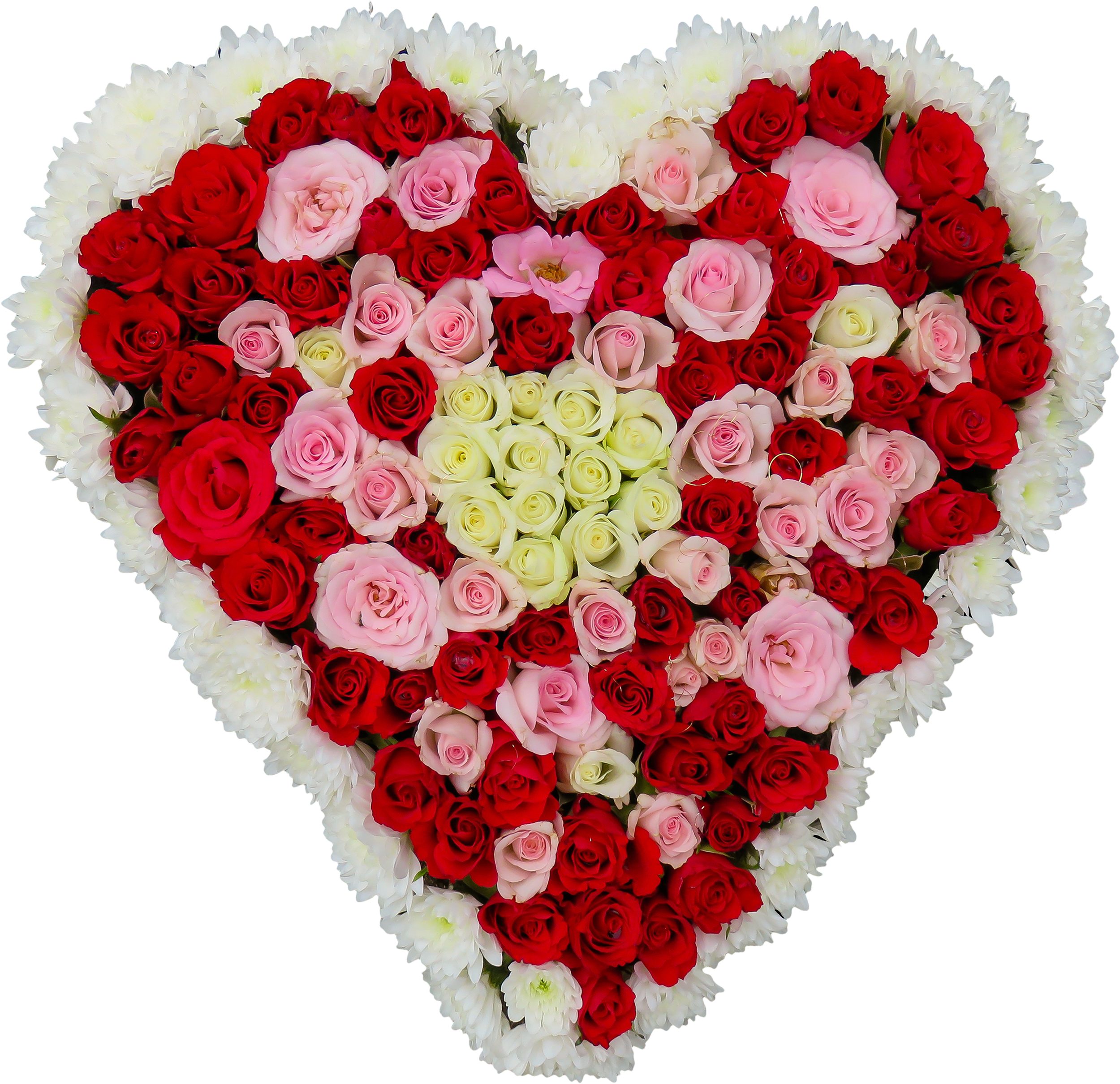 Exif Data - Flower (2500x2421)