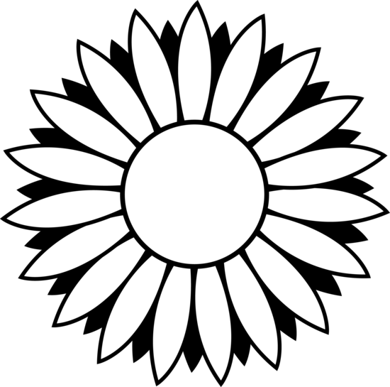 Black And White Colorable Sunflower - Black And White Sunflower Clipart (550x545)