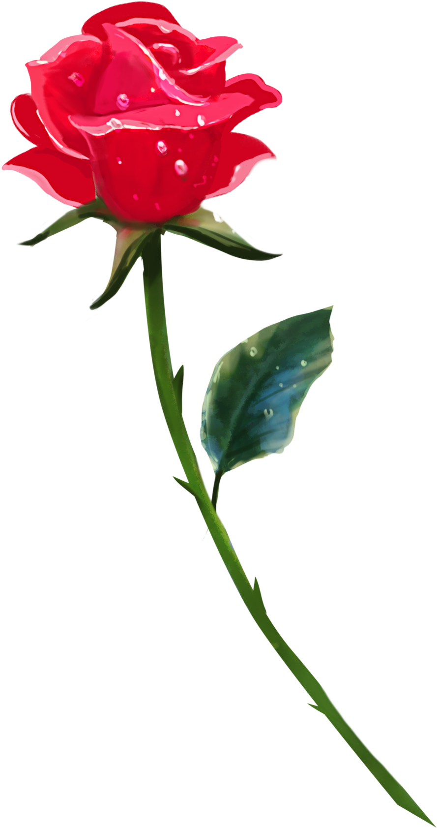 A Single Rose By Brookegillette A Single Rose By Brookegillette - Single Rose Flower Hd Png (1024x1828)