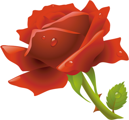 Botanic, Bouquet, Cultivated, Eco, Ecology, Environment, - Rose Flower Clipart Png (512x512)
