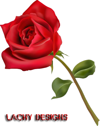 Share This Image - Assalam O Alaikum In Arabic (340x427)