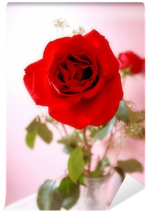 Garden Roses (400x400)