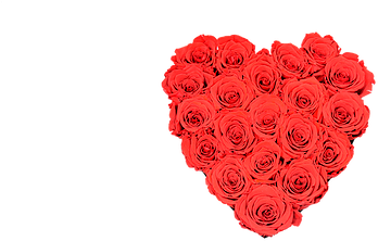 Small Heart Collection Preserved Red Roses - Paper (500x500)