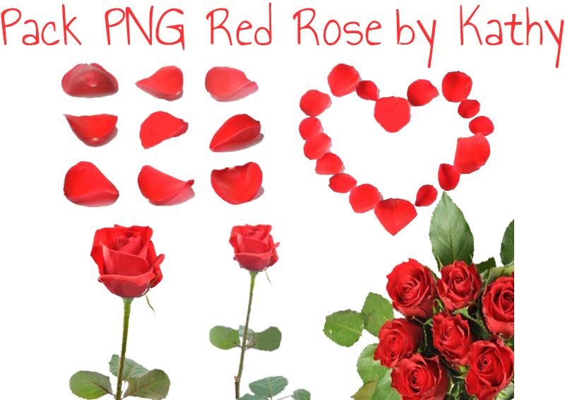 Pack Png Red Rose By Kathy By Fanyfantastic - Garden Roses (800x566)