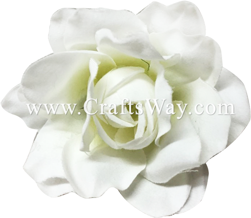 Silk Gardenia - Garden Roses (550x533)