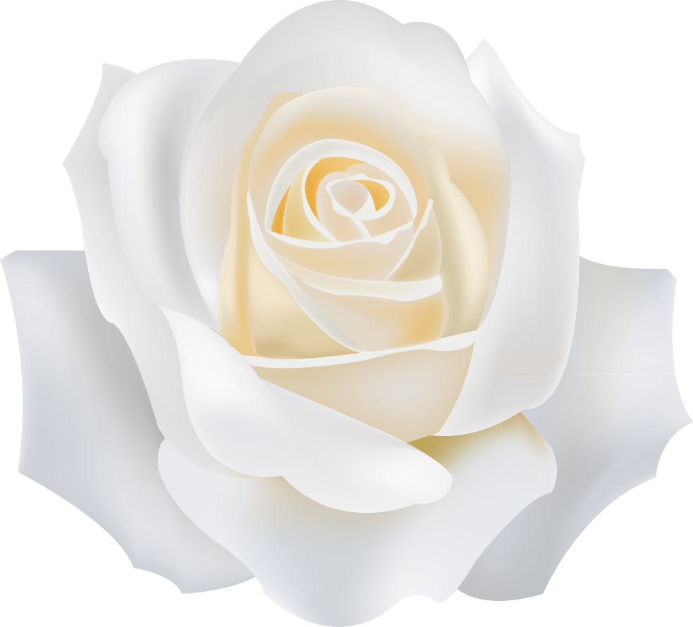 Garden Roses White - Garden Roses (983x890)