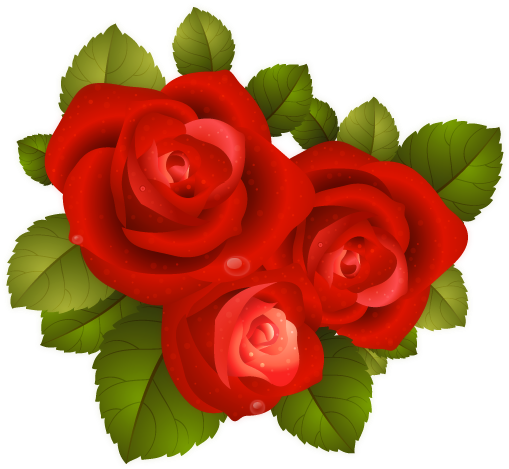 Bouquet, Ecology, Flower, Flowers, Marriage, Nature, - Red Rose Icon Png (512x512)