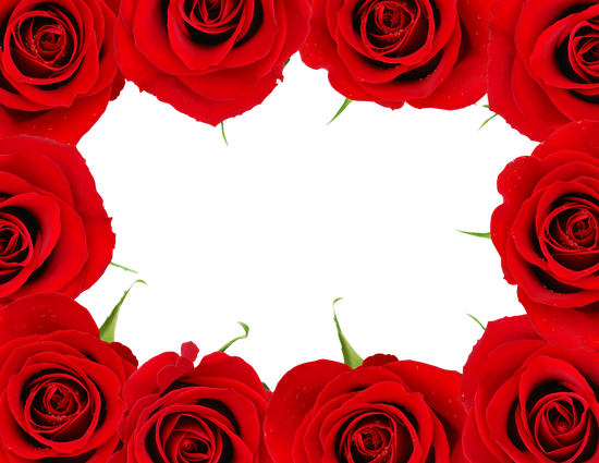 Red Rose Frame - Frame Of Red Roses (550x425)