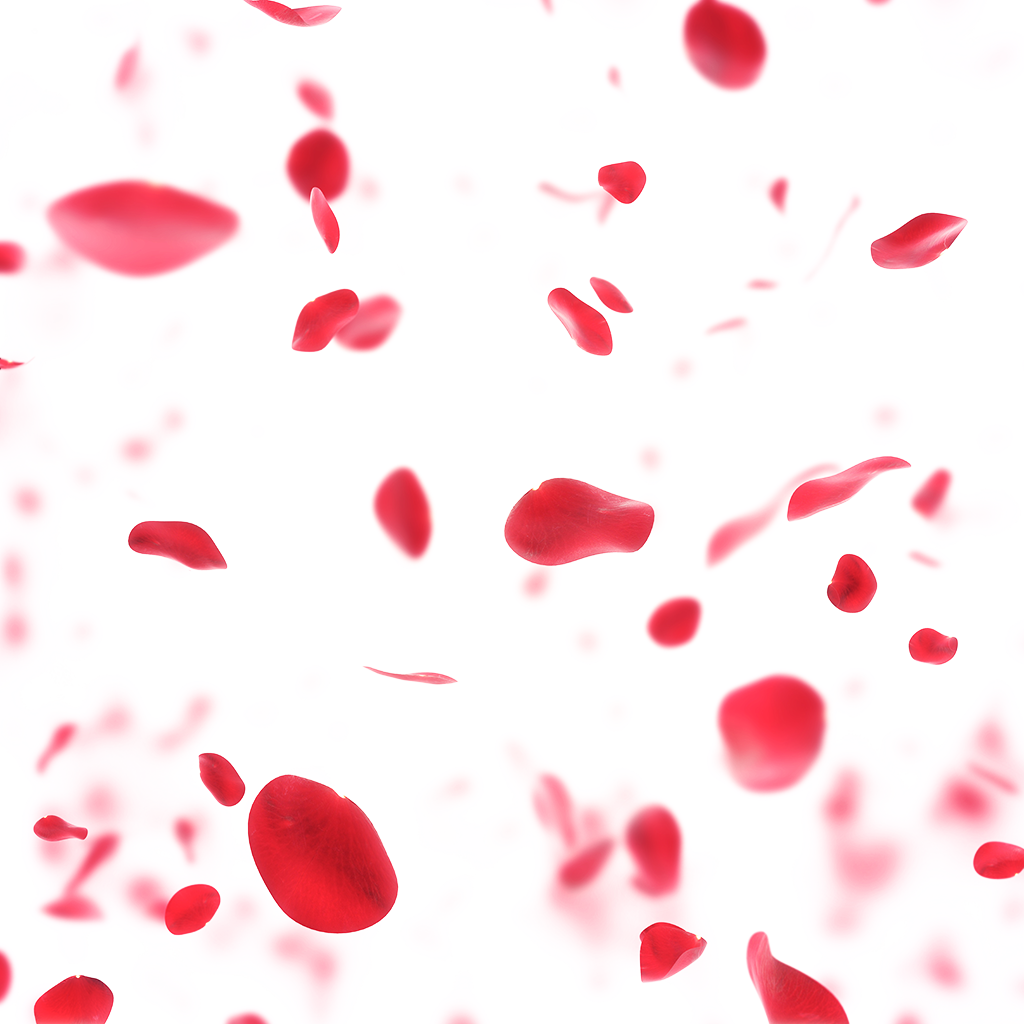 Falling Petals Png - [9wishes] Rose Capsule Essence 30ml (1024x1024)