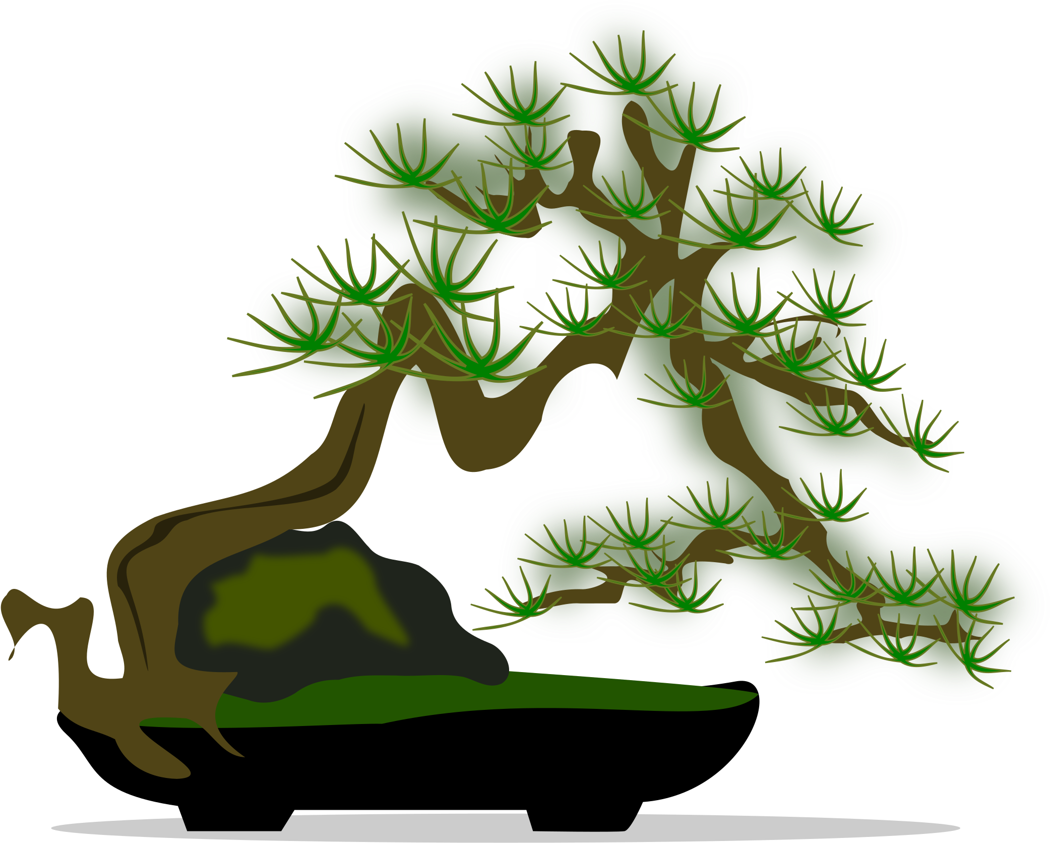 Bonsai Tree Clipart - Sageretia Theezans (2400x2400)