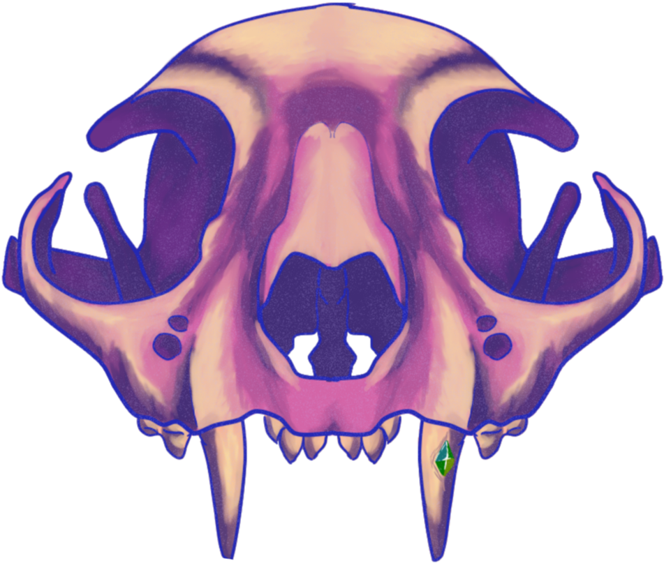 Cat Skull By Hazel-fay - Illustration (970x823)