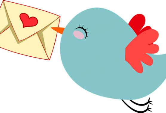 Courtesy Clipart Policy - Cute Clipart (556x377)